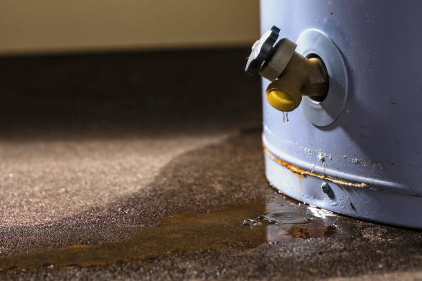 Best 24-hour water damage restoration  in Ogdensburg, NJ