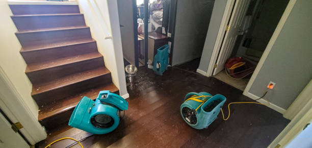 Reliable NJ Water damage restoration Solutions