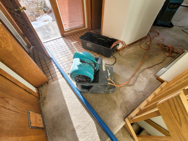 Best Flood restoration services  in Ogdensburg, NJ