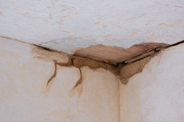Best Water damage restoration process  in Ogdensburg, NJ
