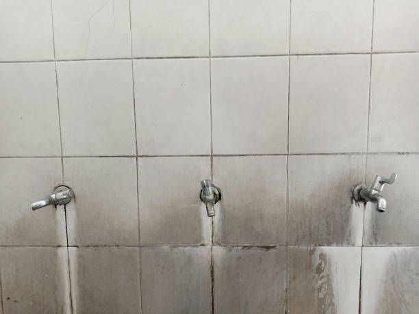 Best Emergency water extraction  in Ogdensburg, NJ