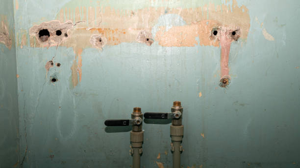 Best Emergency water damage restoration  in Ogdensburg, NJ